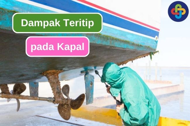 Ancaman yang di Timbulkan Teritip saat Menempel pada Kapal